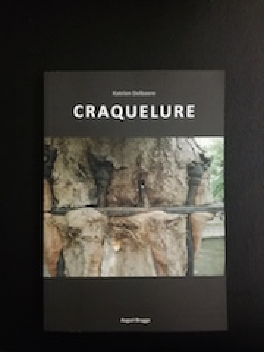 Craquelure - Katrien Delbaere